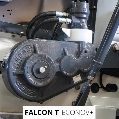 Falcon T